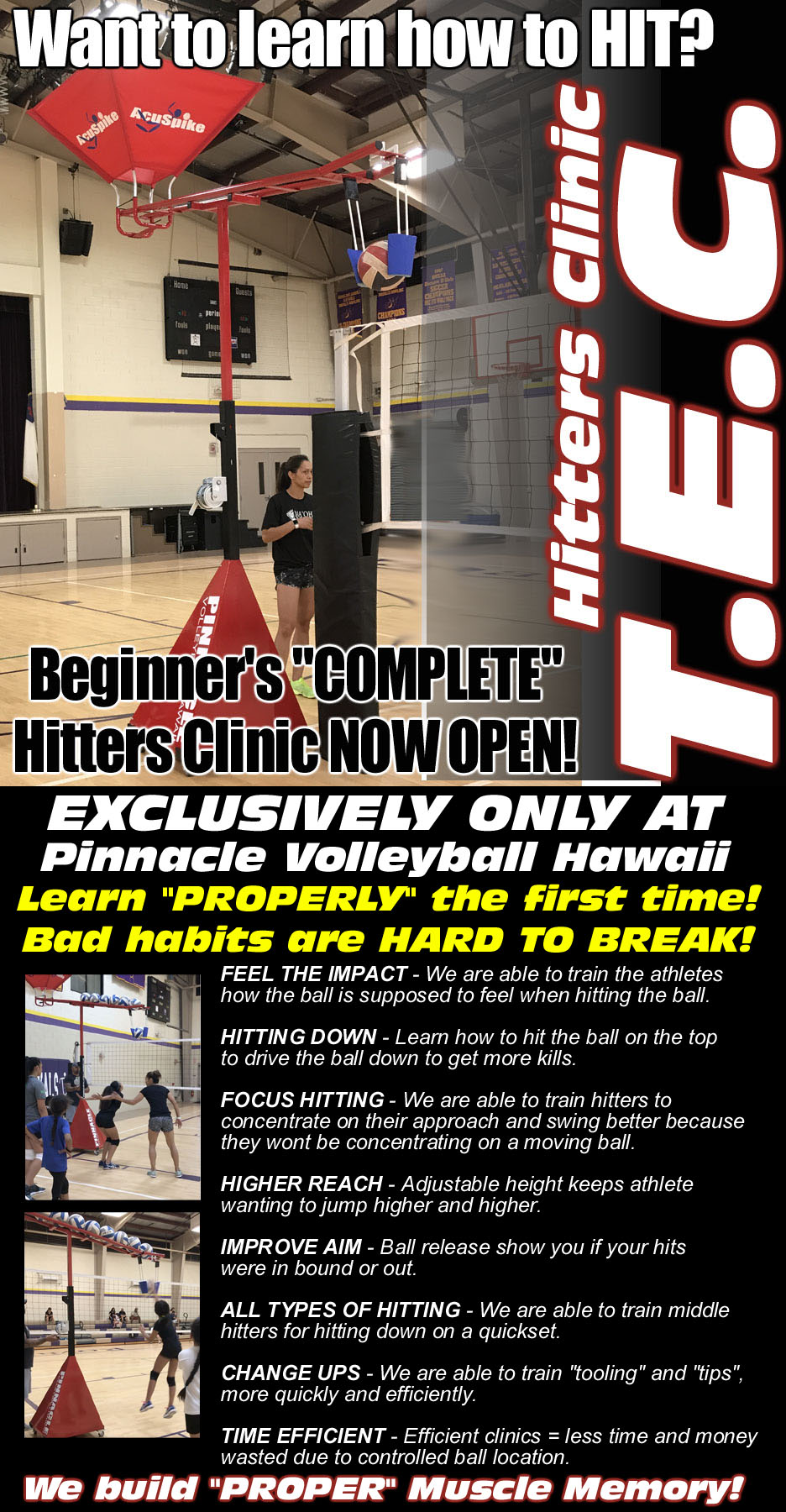 Best Volleyball Clinics